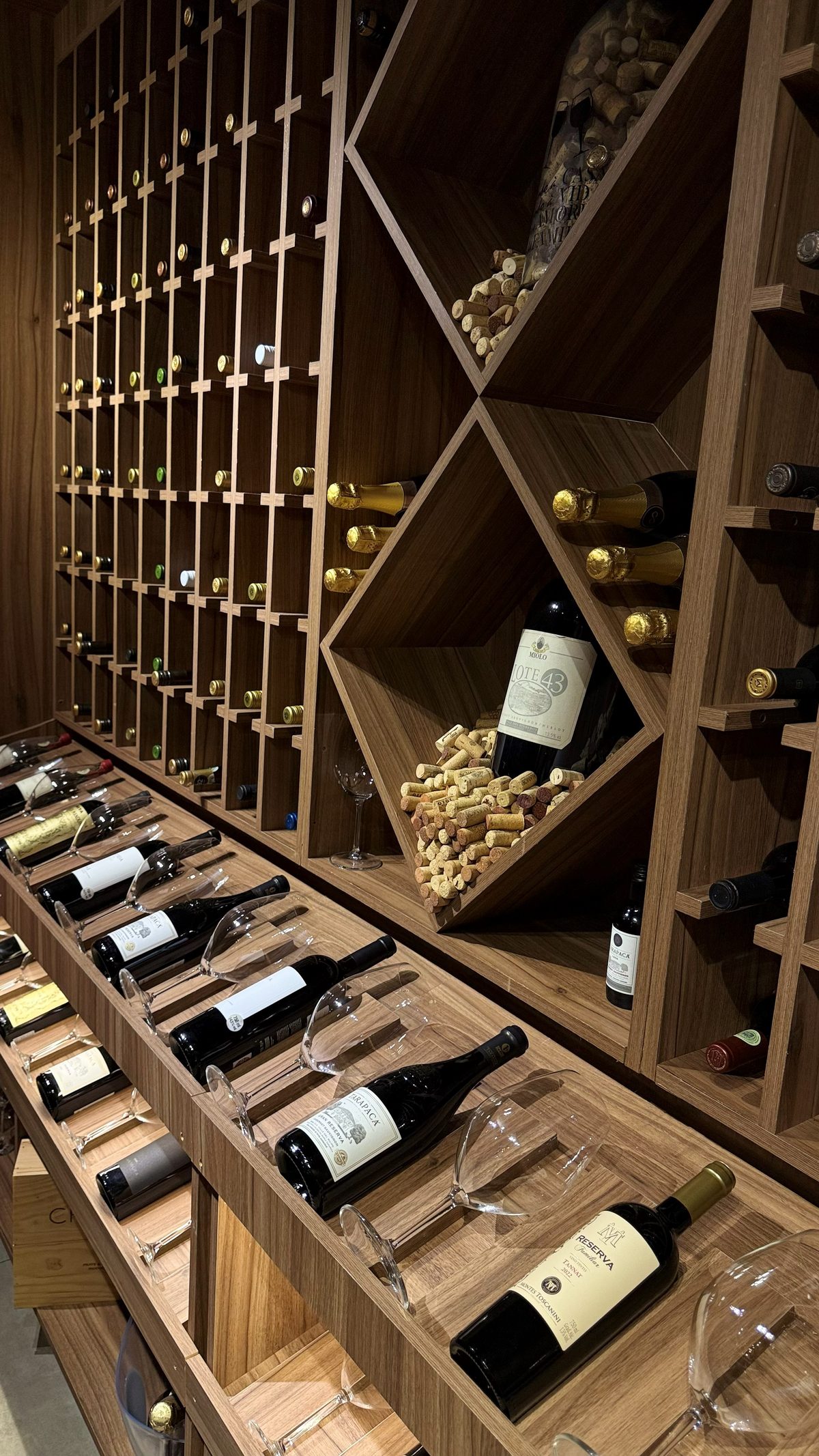 Prateleiras da adega do Nohar com garrafas de vinho em destaque